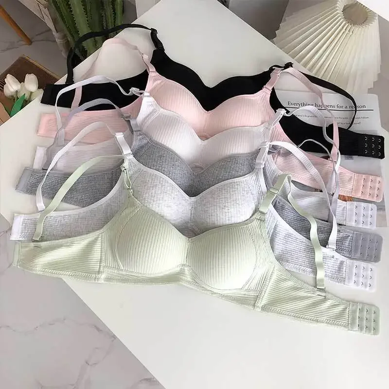 여성 원활한 브래지어 세트 팬티 + 와이어 무료 브래지 - Cotton Bra Everyday 리뷰 및 가격